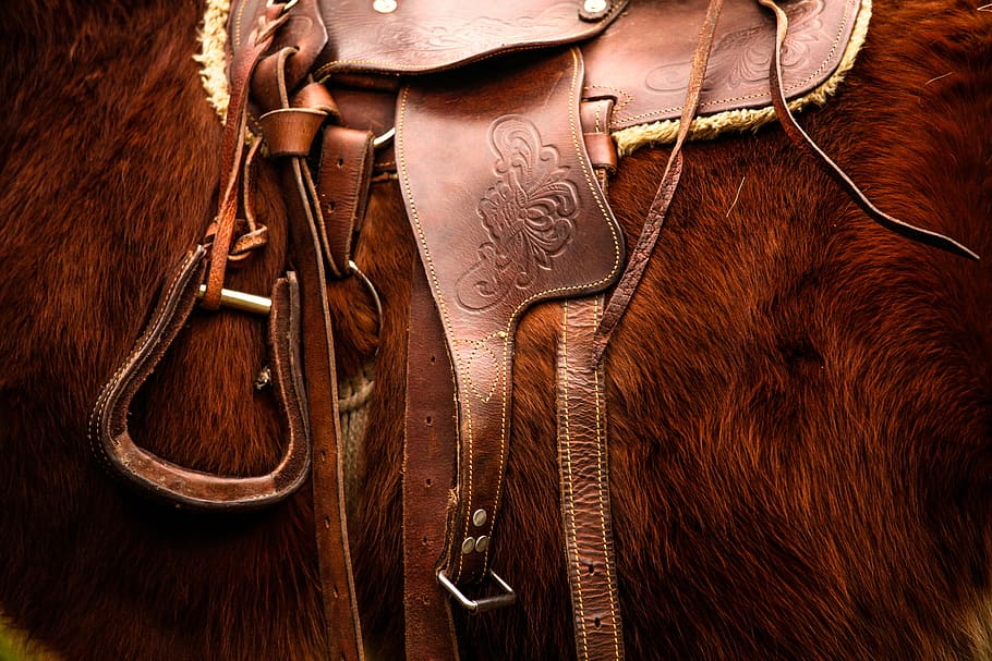 brown horse with brown leather horse saddle, riding, animal, equestrian