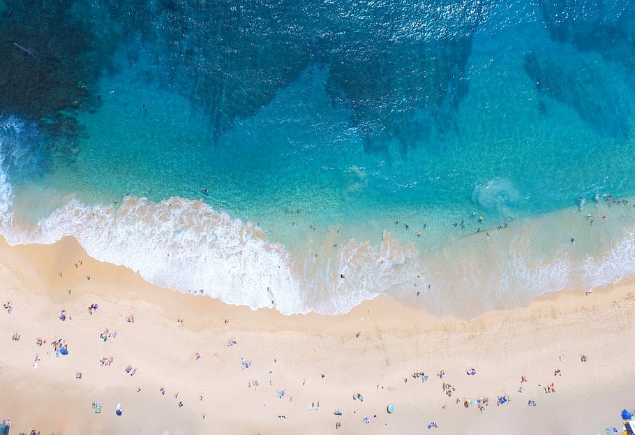 aerial photography of people swimming and sitting in beach during daytime, areal photography of people on shore HD wallpaper