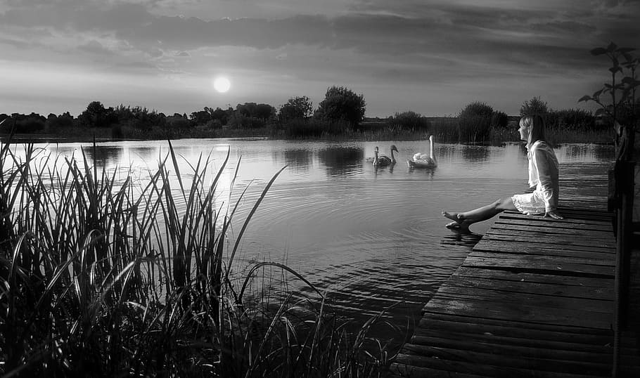 woman sitting on dock, evening, river, sunset, lake, pond, white swan HD wallpaper