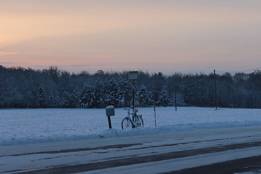 winter, cycle, bus stop, cold temperature, snow, tree, sky HD wallpaper