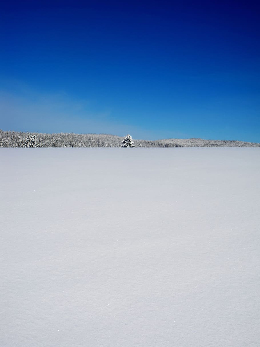 winter, landscape, nature, cloud, snow, tree, winter landscape HD wallpaper