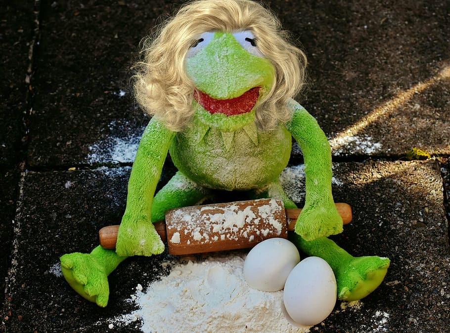 green frog plush toy, kermit, bake, soft toy, funny, childhood, HD wallpaper