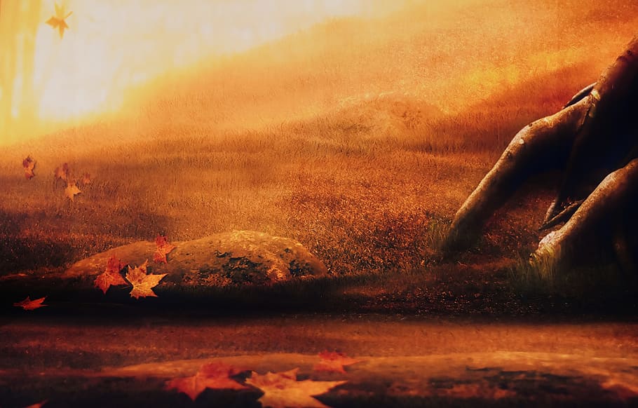 red day painting, background image, forest, autumn, nature HD wallpaper