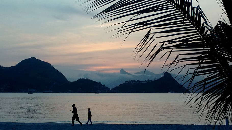 Beach, Sunset, Jogging, Exercise, silhouettes, palms, sea, brazil, HD wallpaper