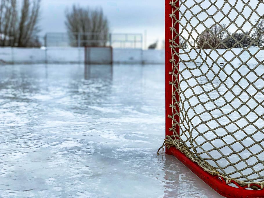 red and white hockey goal, red and white ice hockey field near trees, HD wallpaper