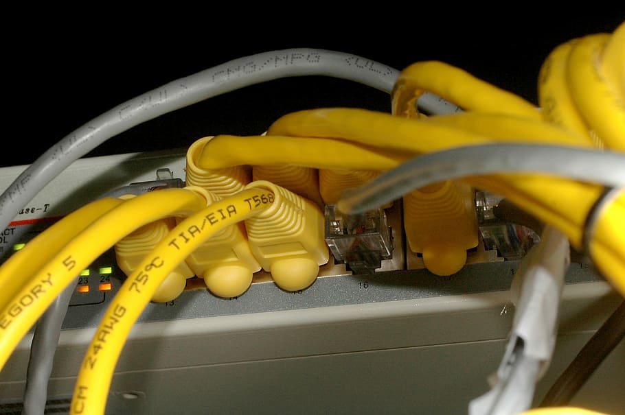 ethernet cables plugged in network switch, Plug, Computing, Computer, HD wallpaper