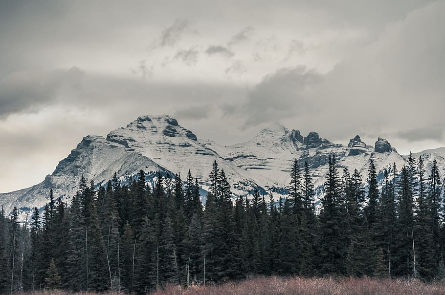 nature, landscape, mountains, summit, peaks, forests, trees HD wallpaper