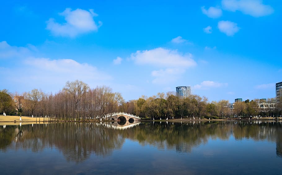 reflection, water, nature, lake, tree, sky, built structure HD wallpaper
