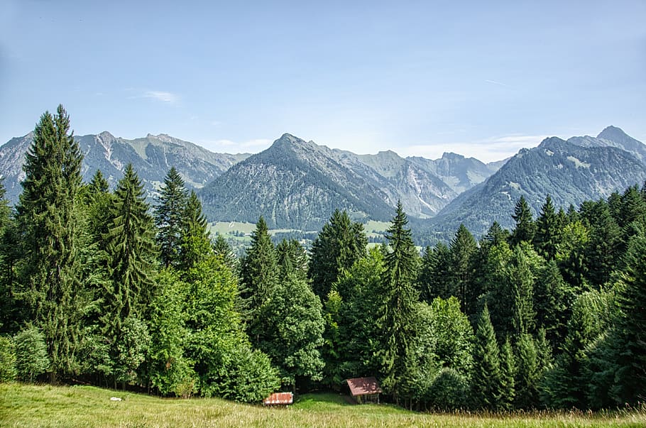 allgäu, oberstdorf, mountains, forest, trees, bavaria, summer, HD wallpaper