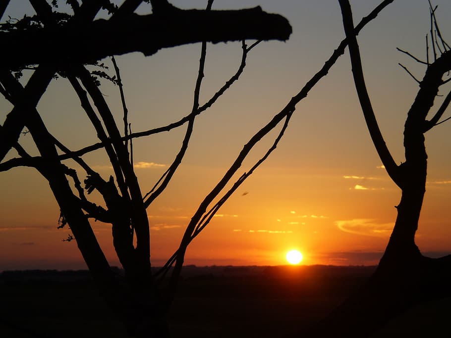 eventide, sunset, landscape, farm, nature, silhouette, dusk HD wallpaper