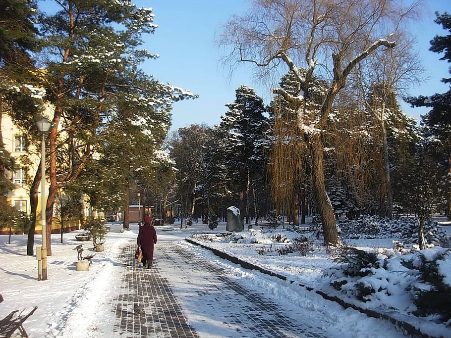park, winter, snow, ice, landscape, trees, nature, outside HD wallpaper