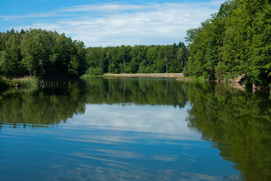 lake, clouds, landscape, tree, plant, reflection, water, beauty in nature HD wallpaper