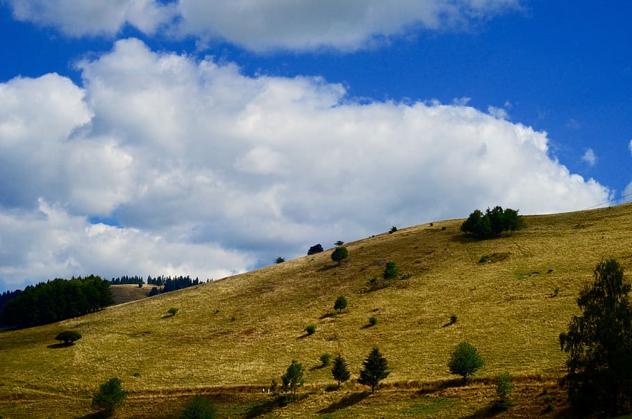 landscape photography, landscape photograph of green mountains under cumulus clouds HD wallpaper
