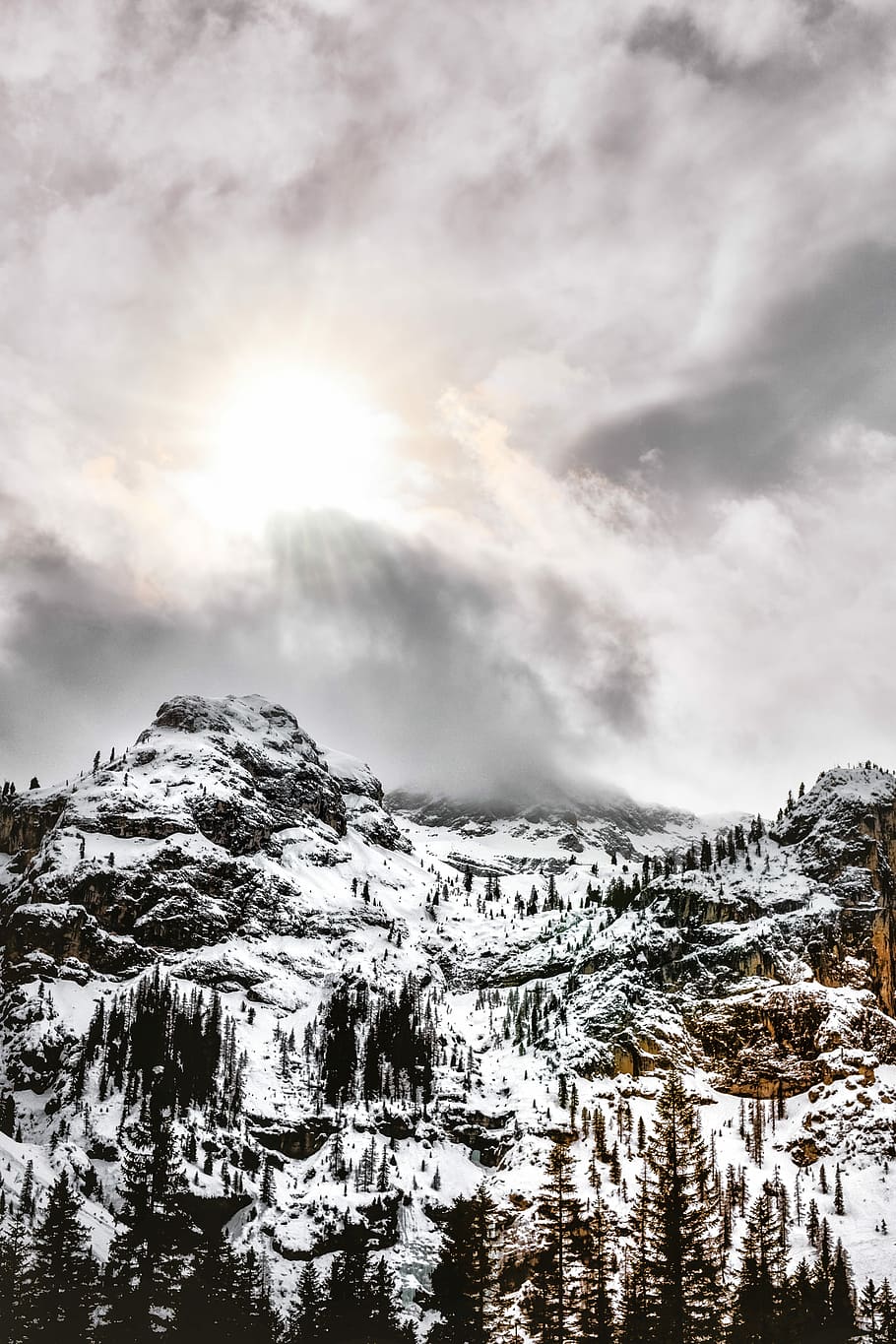 photography of mountain under sky, snow covered forest photography during daytime HD wallpaper