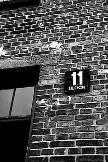 auschwitz, camp, holocaust, concentration, poland, history HD wallpaper