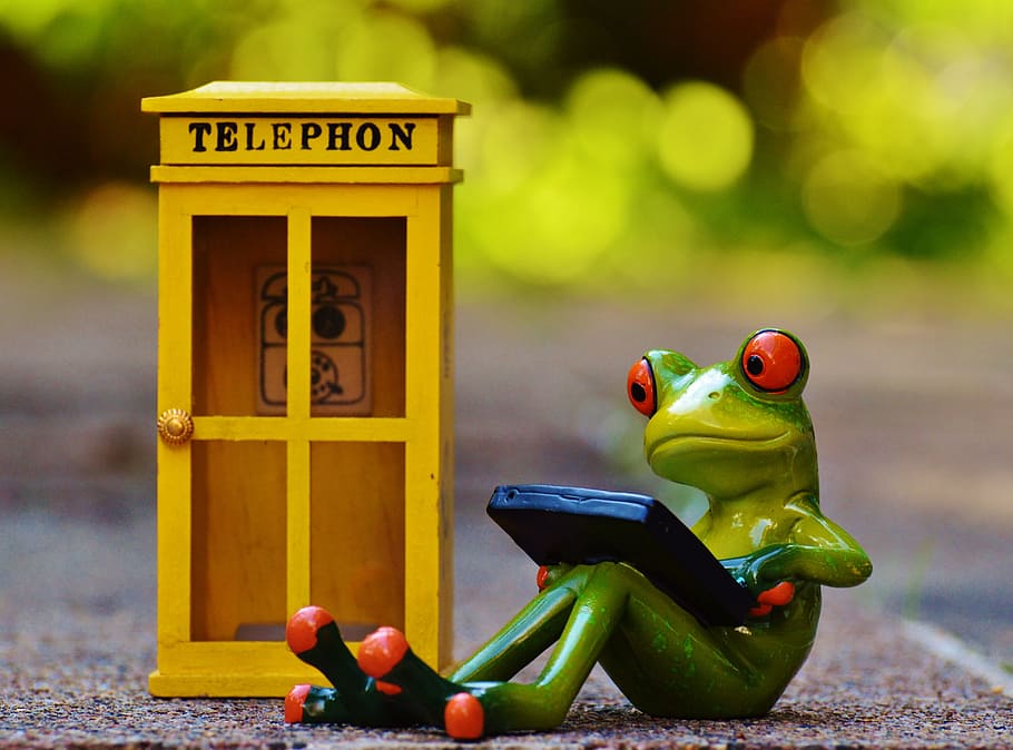 red eyed tree frog sitting using smartphone near yellow wooden telephon booth HD wallpaper