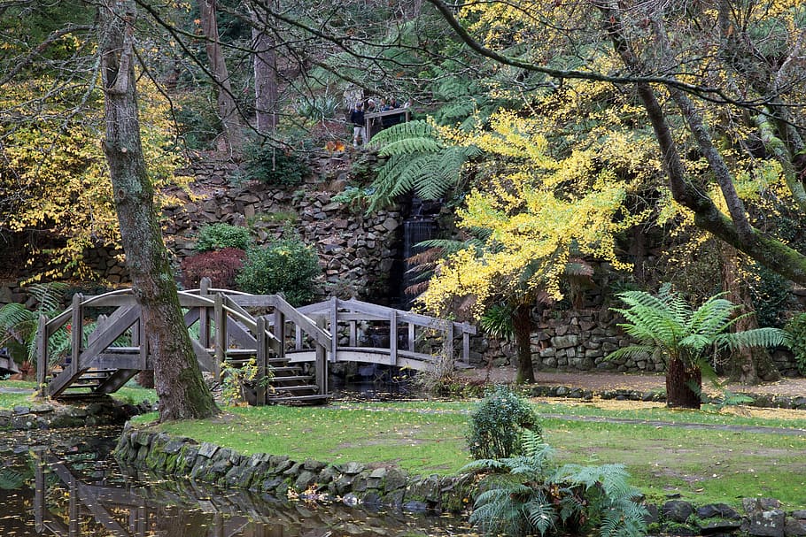 Australia, Victoria, Bridge, Pond, autumn, nature, country, HD wallpaper