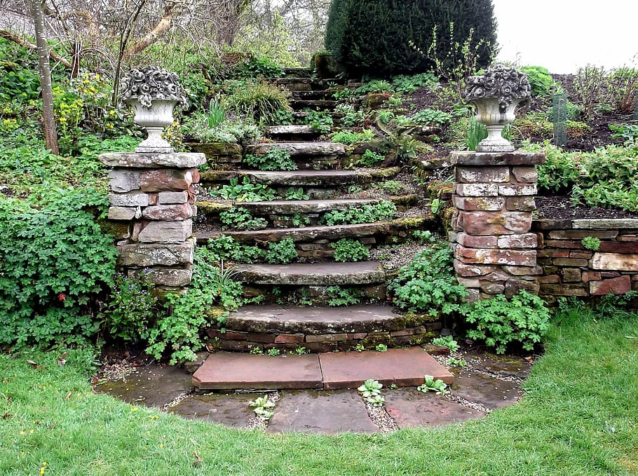 brown concrete staircase with green leaves, steps, stone, formal HD wallpaper