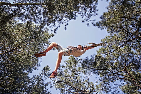 Trees, Rope Swing, Swing, Low, Low Angle, Looking Up, swinging HD wallpaper
