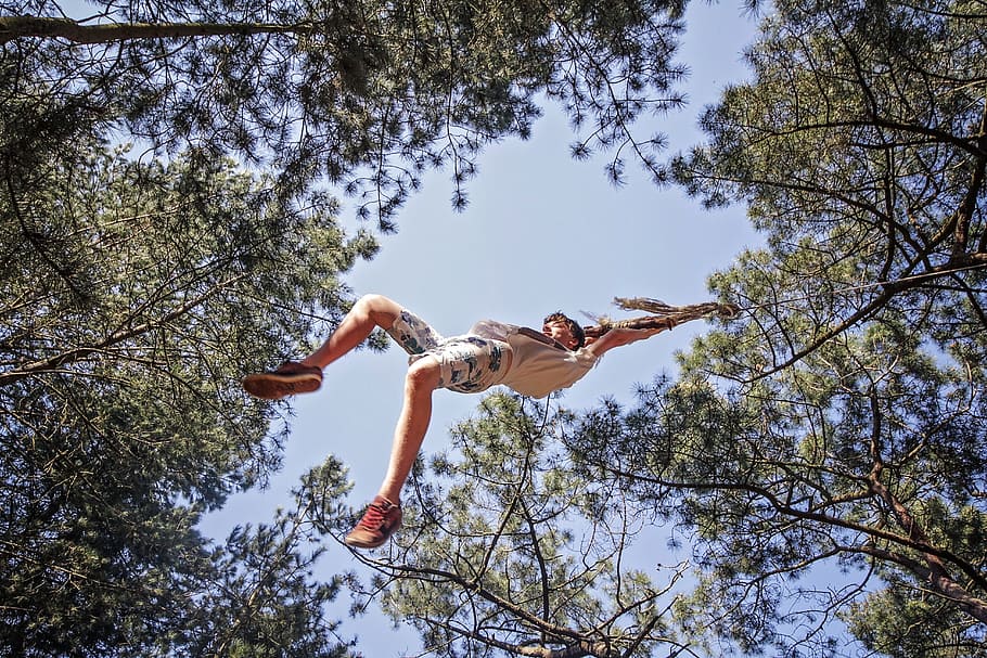 Trees, Rope Swing, Swing, Low, Low Angle, Looking Up, swinging HD wallpaper