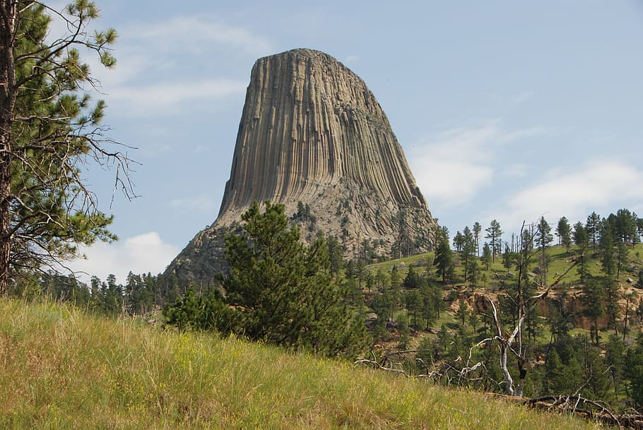 brown mountain surrounded by trees under white sky, devil's tower national monument
