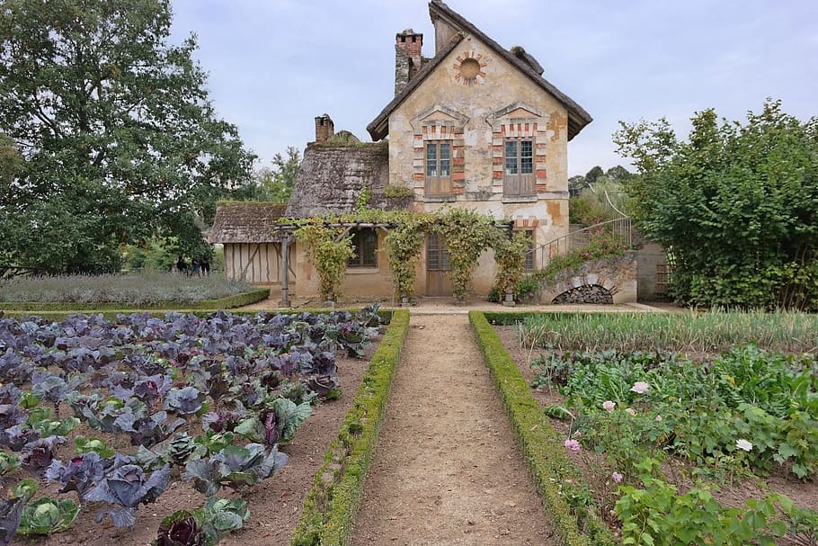 old, medieval, building, house, architecture, urban, garden HD wallpaper