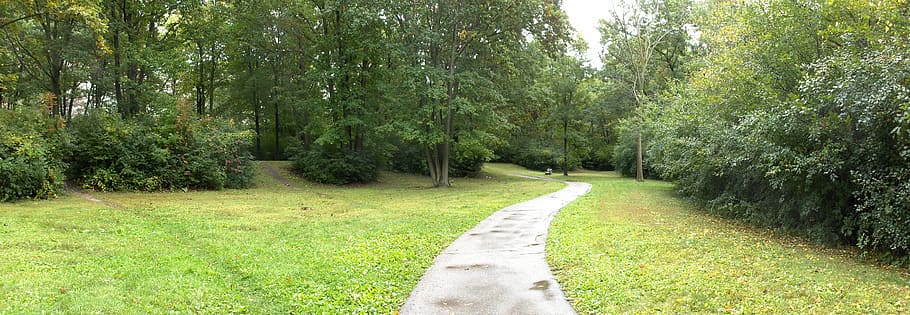 panorama, park, path, footpath, walk, green, grass, pathway HD wallpaper