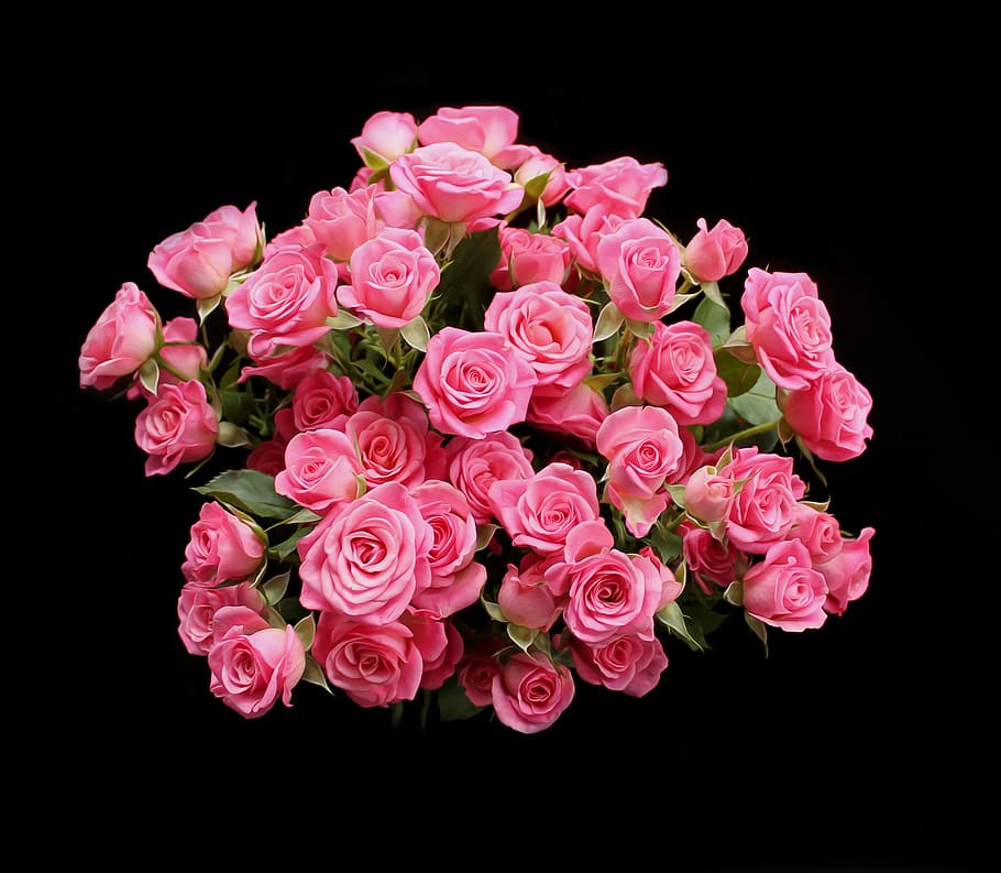 bouquet of pink roses, pink saturday, red, flowers, romance, beautiful, HD wallpaper