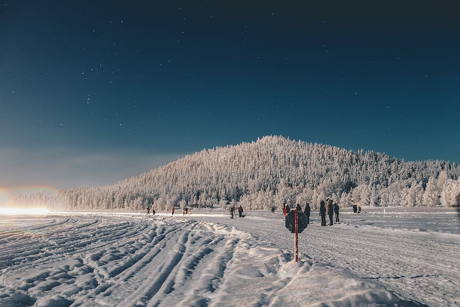 people standing near mountain of trees covered with snow during daytime, people walking on road covered by snow HD wallpaper