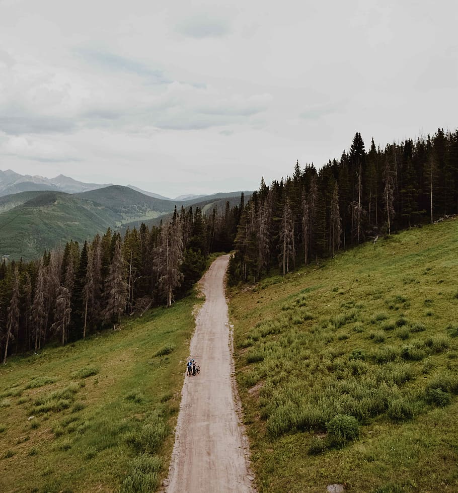 road on the middle of trees, pathway through trees, track, forest HD wallpaper