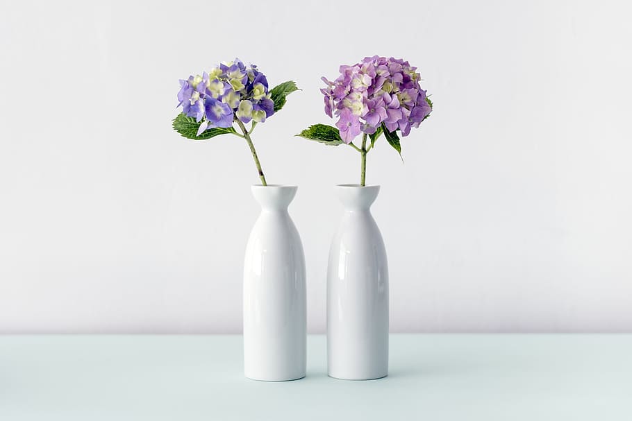 purple and pink hydrangeas flowers, two purple and white flowers in vases