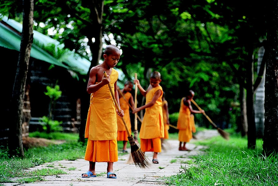 boy's yellow traditional dress, novices, buddhist, work, wat, HD wallpaper