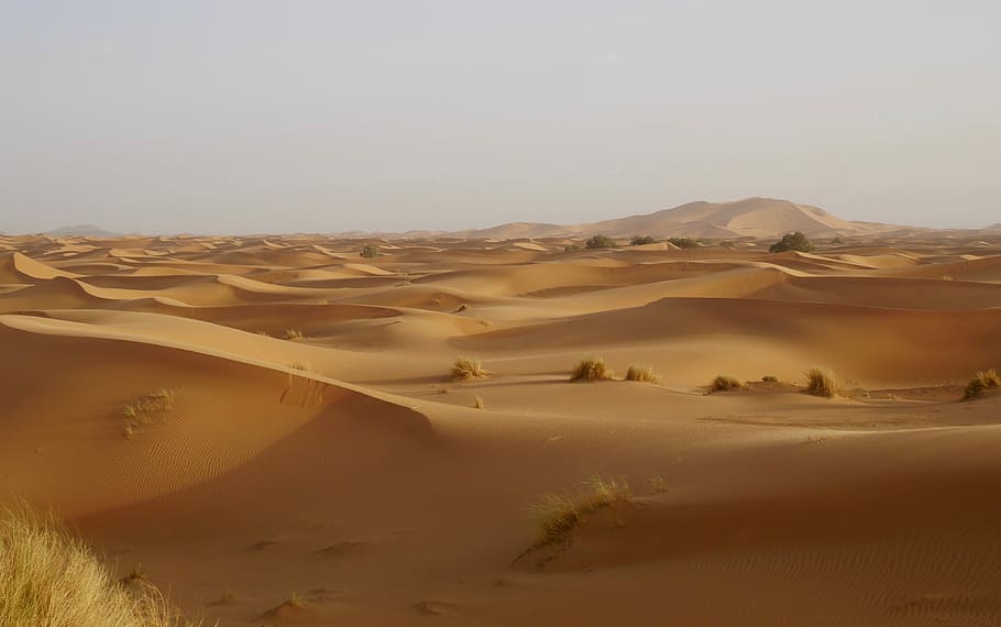 desert field, high angle photo of desert, sand, dune, yellow HD wallpaper