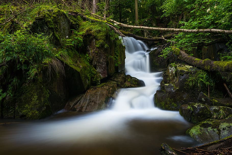 wood, landscape, nature, water, cascade, creek, environment, fall HD wallpaper