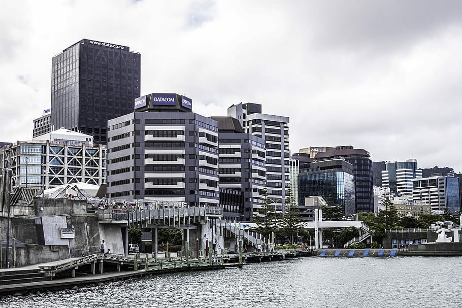 Waterfront cityscape of Wellington, New Zealand, buildings, photos