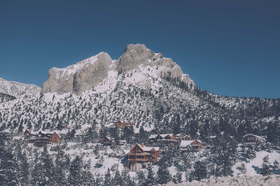 brow houses on hill surrounded with trees, mountain, landscape HD wallpaper