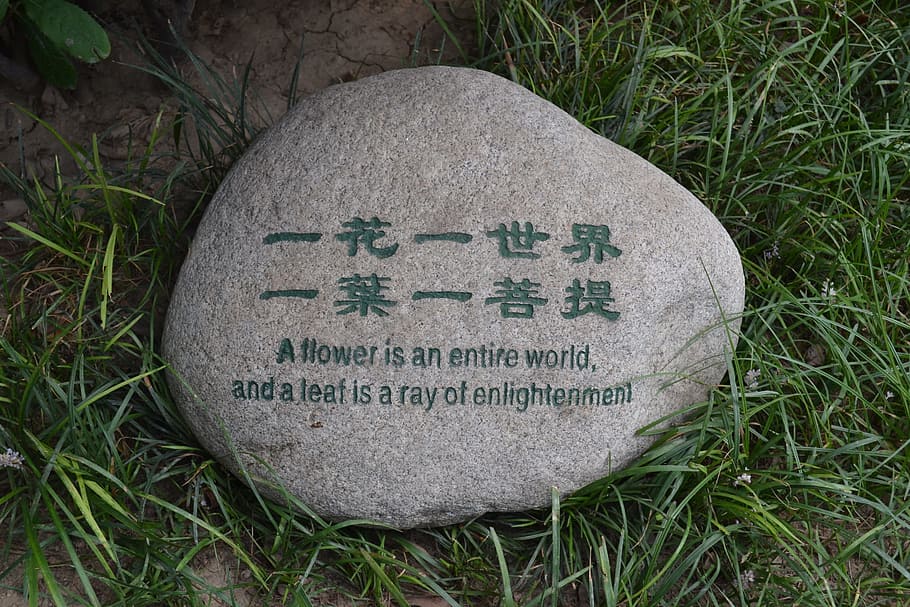 peace, flower, leaf, buddhism, pebble, stone, text, grass, plant HD wallpaper