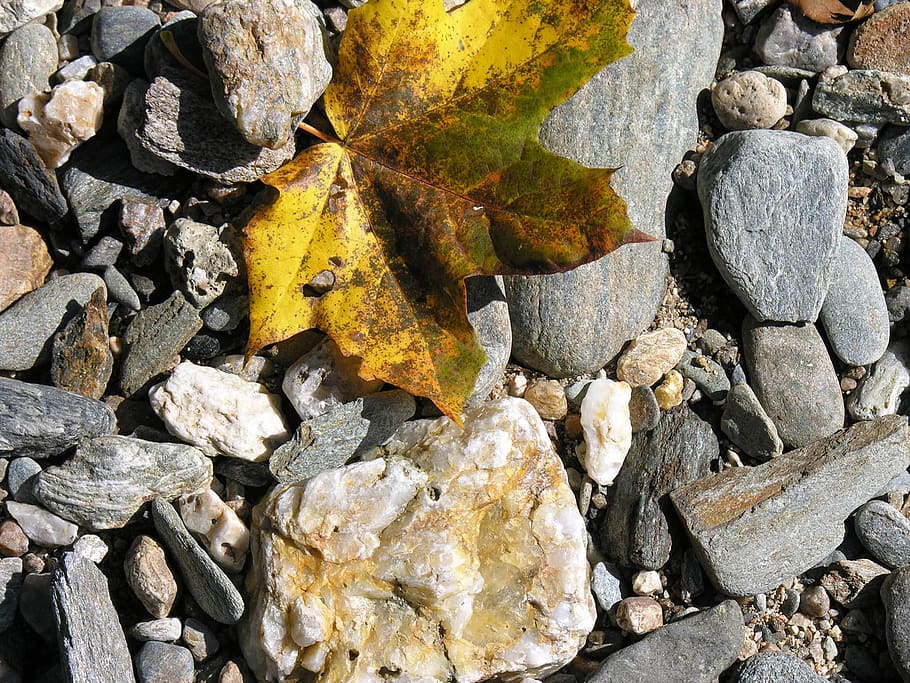 autumn, sheet, stone, solid, rock, rock - object, stone - object HD wallpaper