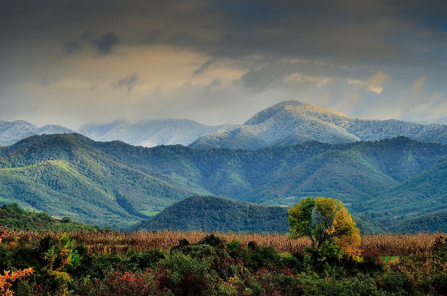 forest, autumn, landscape, clouds, mountain, nature, outdoor HD wallpaper