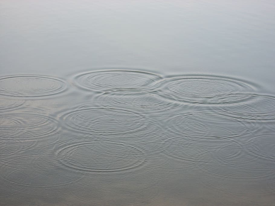 water, circle, wave, waters, nature, pattern, water surface HD wallpaper