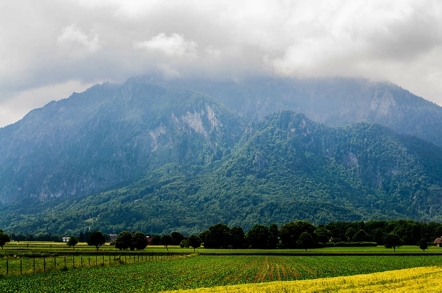 landscape photo of green mountain and green open field at daytime HD wallpaper