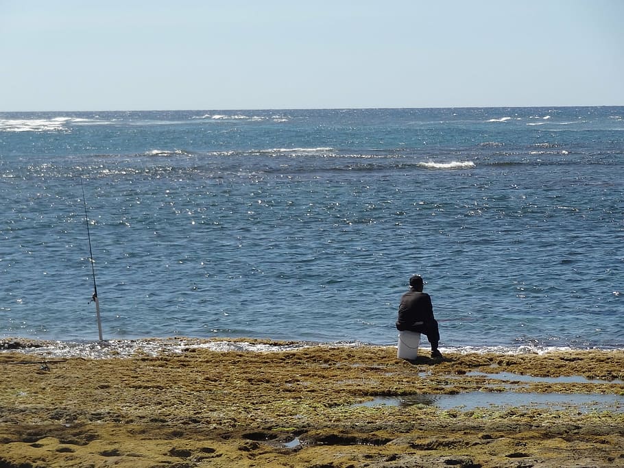 fisherman, waiting, sitting, sea, nature, ocean, summer, water HD wallpaper