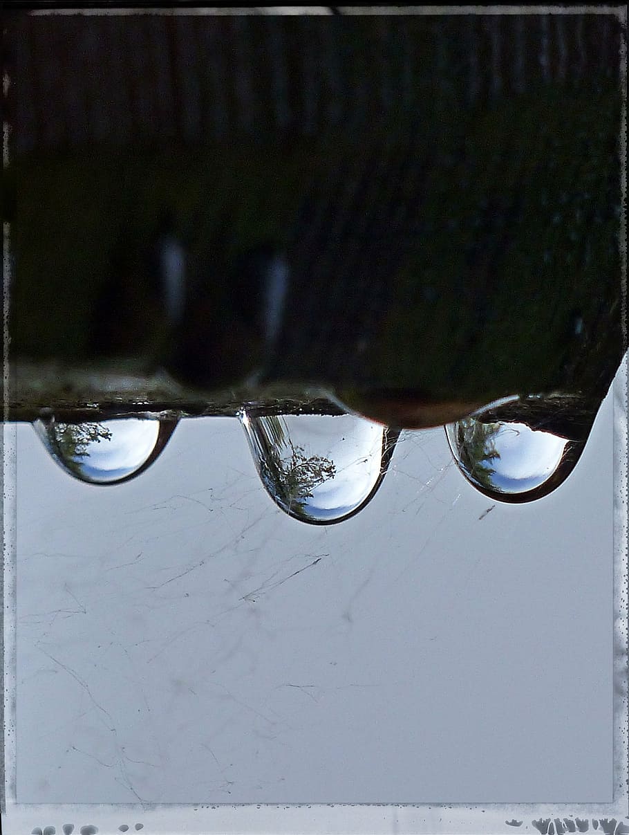 rain drops, reflection, macro, nature, water, liquid, clear HD wallpaper