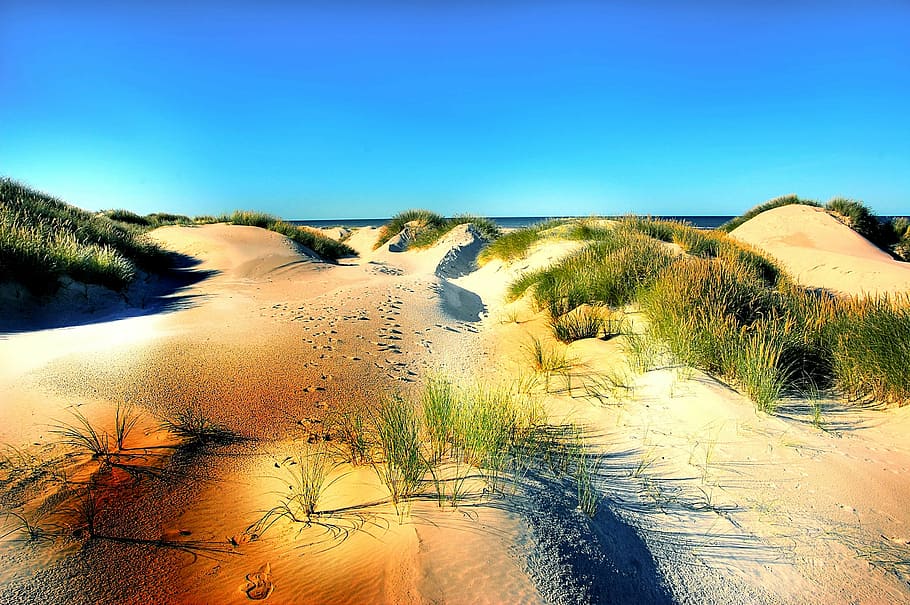 dune sand, dunes, beach, denmark, north sea, summer, grass HD wallpaper