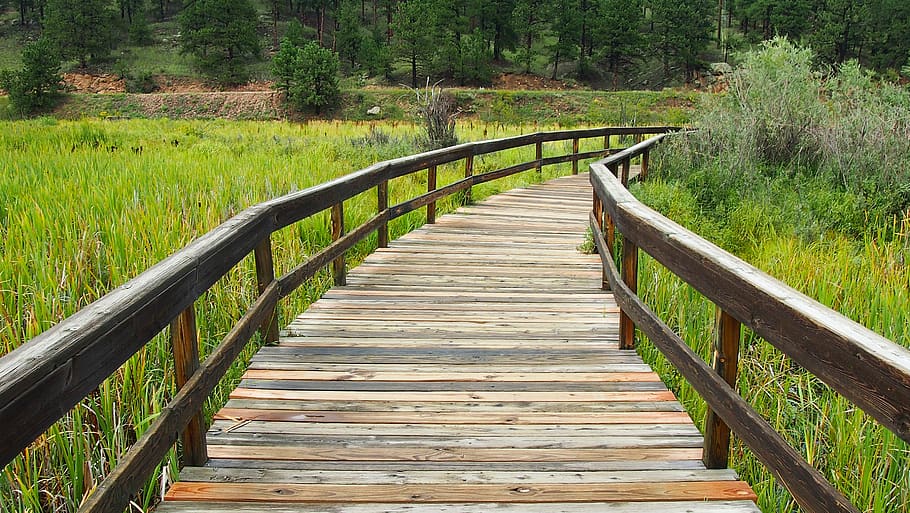 wooden walkway, wooden bridge, outdoors, green, nature, environment, HD wallpaper