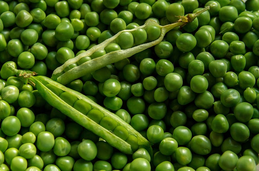 green peas closeup photography, textures, background, fresh, seed, HD wallpaper