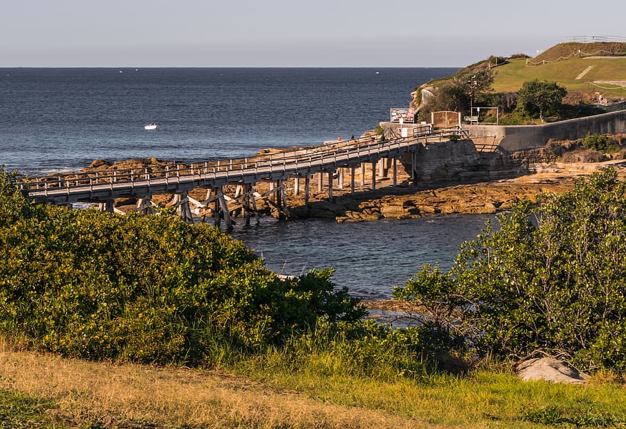 water, bridge, sea, built structure, architecture, nature, plant HD wallpaper