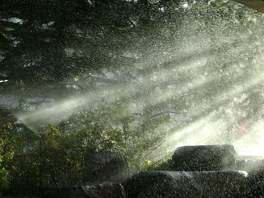 time lapsed photography of green leafed tree, rain, spray, water HD wallpaper