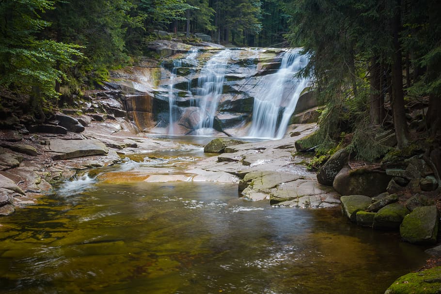 waterfalls surrounded by green trees, Nature, River, Beauty HD wallpaper
