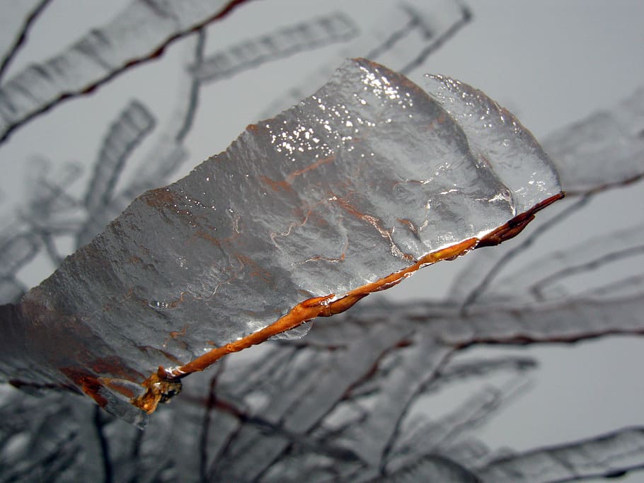 Winter, Wintry, Frost, Ice, cold temperature, no people, nature HD wallpaper
